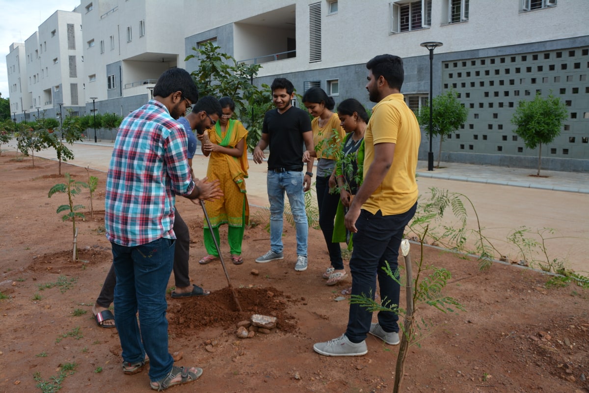 NSS Activity