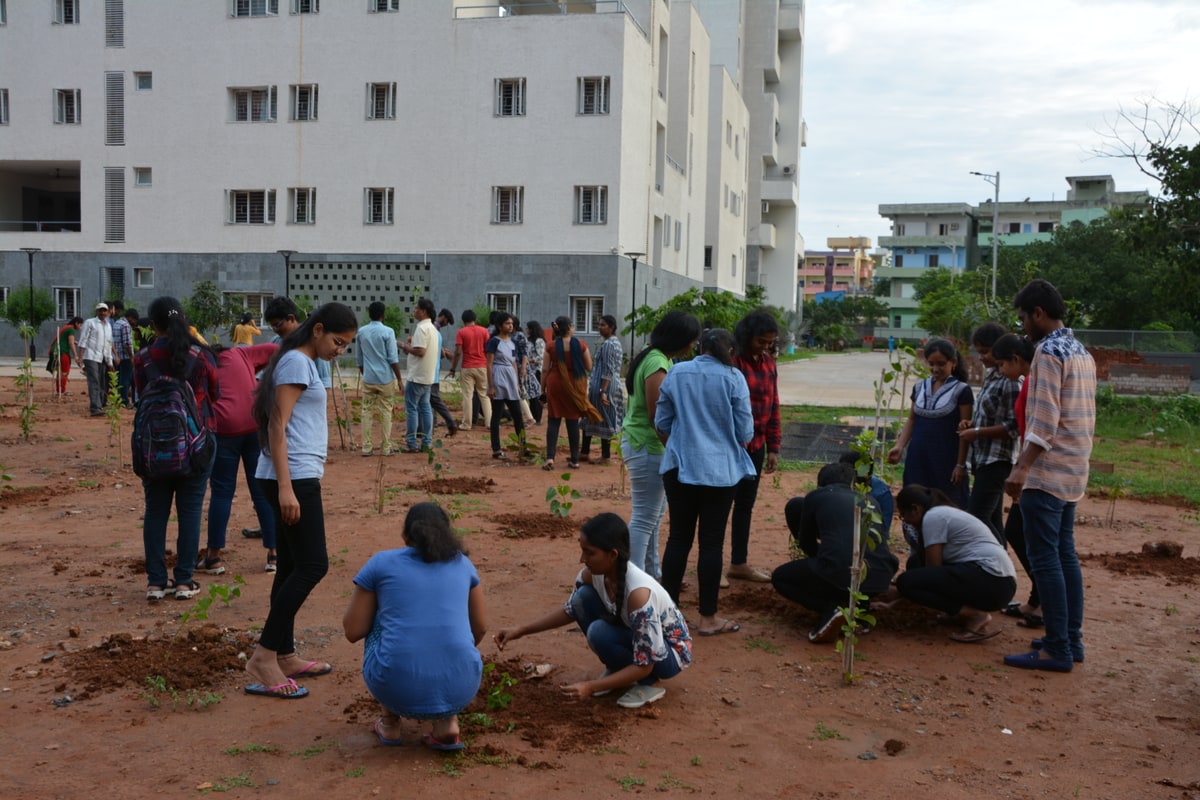 NSS Activity