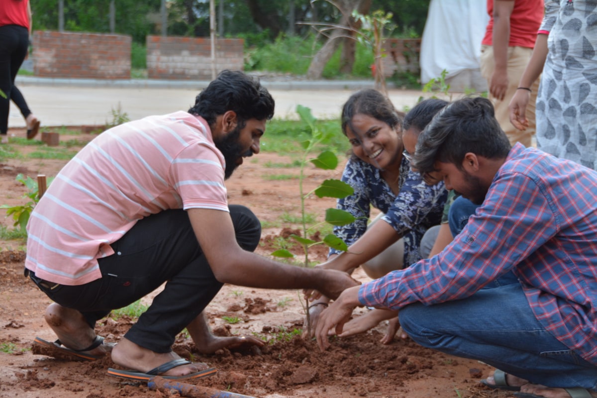 NSS Activity